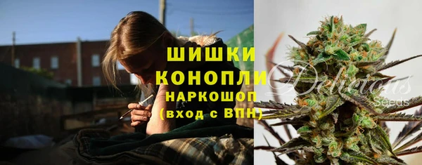 прущие крисы Балахна